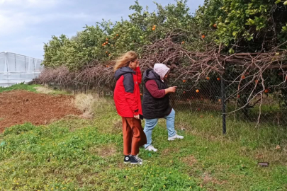 Fethiye İlçe Tarım Müdürlüğü’nden TÜKAS Çalışması