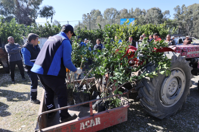 Muğla'da Zirai Dondan Etkilenen Üreticilere Destek Verildi