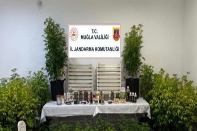 Muğla'da Uyuşturucu Operasyonlarında 14 Zanlı Tutuklandı