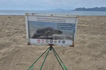 Muğla'daki İztuzu Kumsalı Caretta Carettalar İçin Hazırlandı