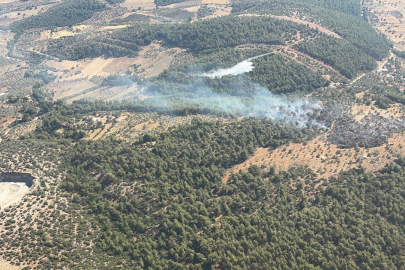 Muğla'da Ziraat Alanında Çıkan Yangın Kontrol Altına Alındı