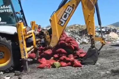 Soma'da Bozuk 4 Ton Midye İmha Edildi