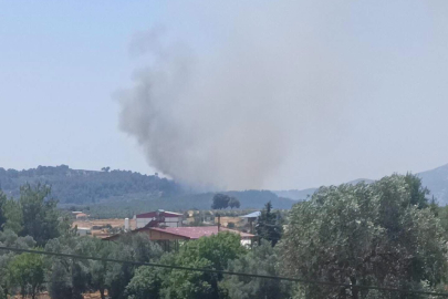Seydikemer Gölbent Mahallesi'nde Orman Yangını Çıktı