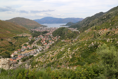 Muğla'da 2021'in küllerinden doğan ormanlar yeşil örtüsüne kavuştu