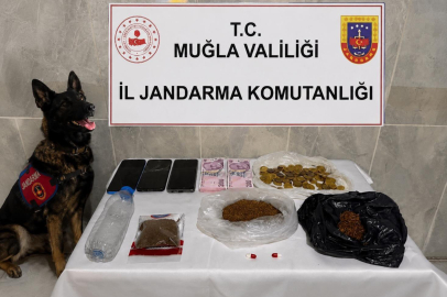 Muğla'da uyuşturucu operasyonlarında yakalanan 174 şüpheliden 33'ü tutuklandı