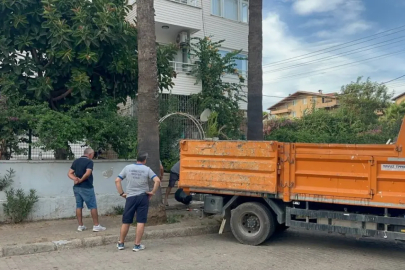 Marmaris’te Bir Daireden Bir Kamyon Çöp ve 30’a Yakın Kedi Çıkarıldı
