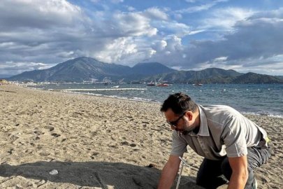 Fethiye sahillerinde yaklaşık 6 bin caretta caretta yavrusu denizle buluştu